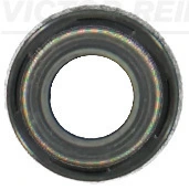 Seal Ring, valve stem